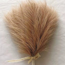 Set of artificial pampas for wedding and party decoration