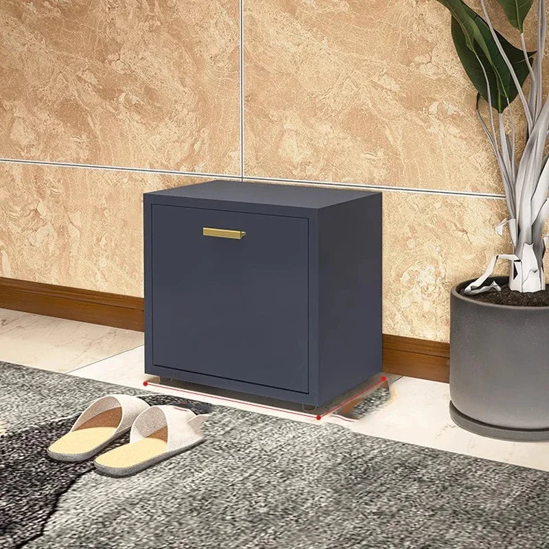 open shoe cabinet for aesthetic and practical storage - vue 3 sur 8