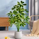 Artificial palm and monstera plants for indoor and outdoor decoration