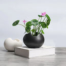 retro ceramic hydroponic flower pot for succulent plants