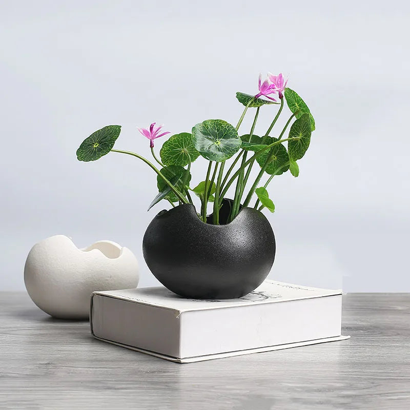 retro ceramic hydroponic flower pot for succulent plants - vue 4 sur 9