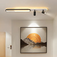 Modern LED ceiling lamp with decorative spotlight