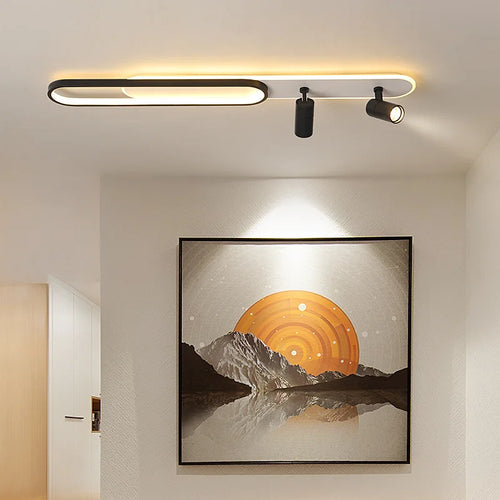 Modern LED ceiling lamp with decorative spotlight
