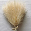 Set of artificial pampas for wedding and party decoration