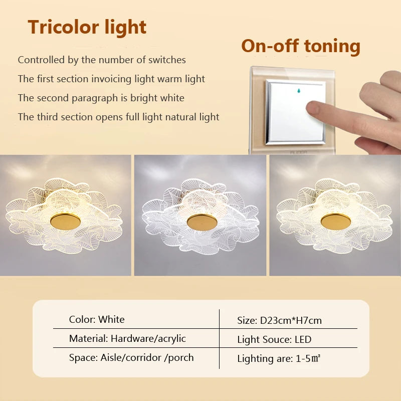 Modern acrylic LED ceiling light for decorative interiors - vue 11 sur 18