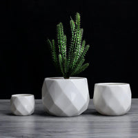 geometric ceramic flower pot for succulents