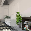 Artificial tropical ficus tree for home, garden and shop décor
