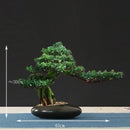 Chinese style artificial bonsai tree for indoor and outdoor decor