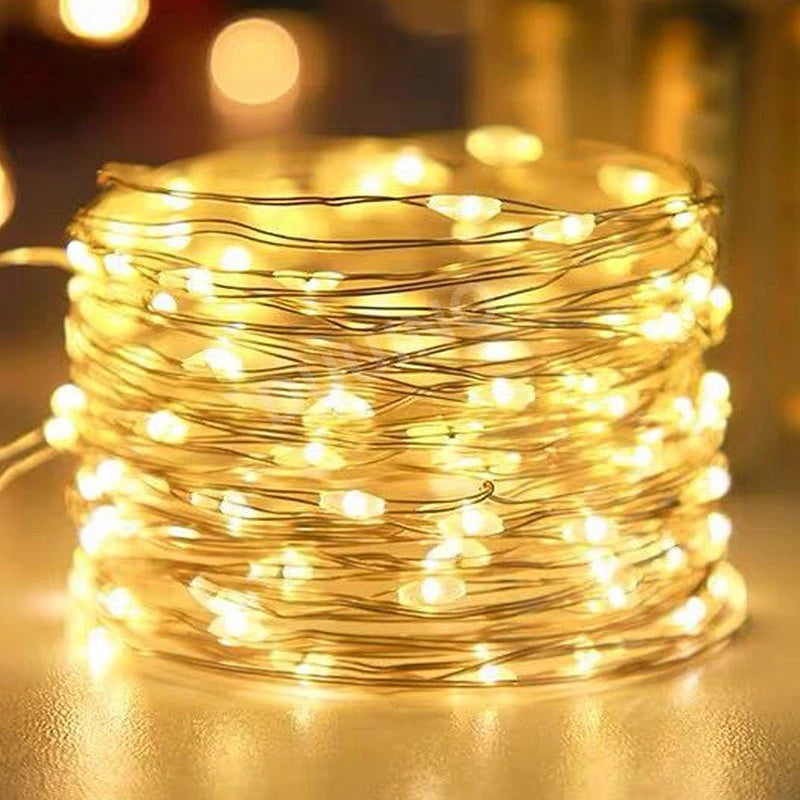 Waterproof battery LED fairy lights for festive decorations - vue 3 sur 10