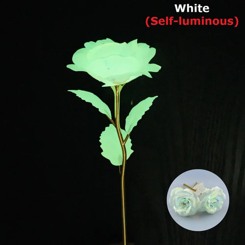 Luminous rose branch gift for Valentine's Day or Mother's Day