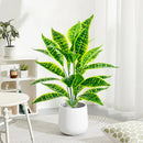 Artificial monstera plant with decorative tropical leaves for indoor garden