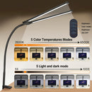Double head LED desk lamp