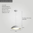 Modern minimalist iron pendant light for interiors