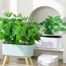 Decorative artificial scindapsus plants for indoor and outdoor use
