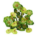 Artificial plants for wall and garden decoration