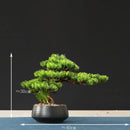 Artificial bonsai tree for indoor decoration and landscaping