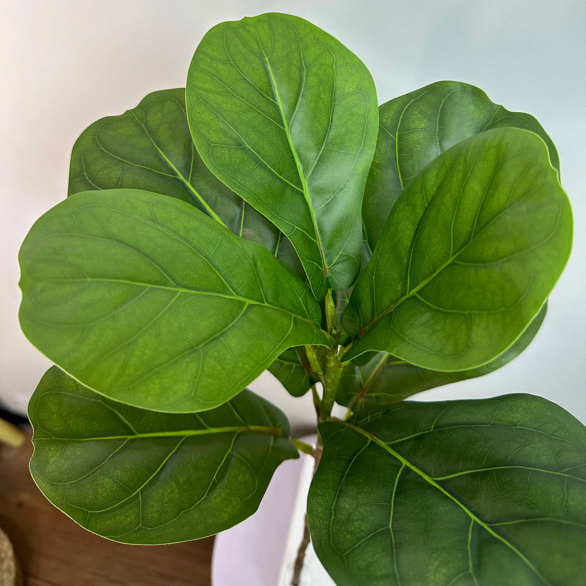 Artificial ficus branches with large banyan leaves for garden decoration - vue 6 sur 36