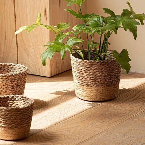 woven wicker basket for flowers and storage