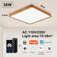 Tuya smart LED ceiling light with app and voice control, Alexa and Google compatible, remote control for living room and bedroom