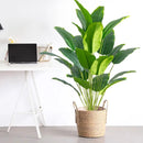 Large artificial tropical palm tree with banana and strelitzia leaves