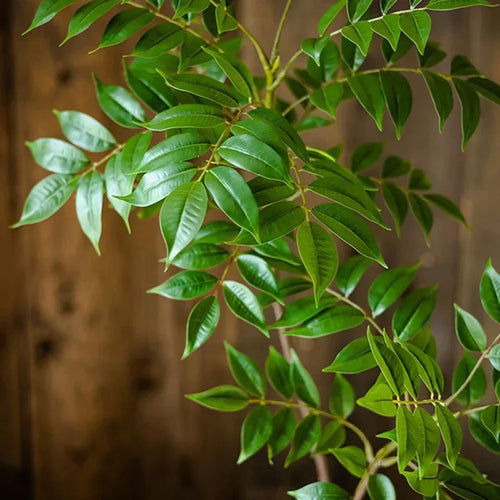 Artificial plants for indoor and outdoor decoration - vue 5 sur 10