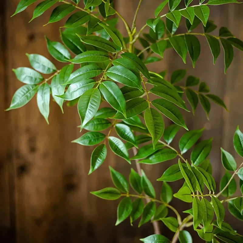 Artificial plants for indoor and outdoor decoration - vue 5 sur 10