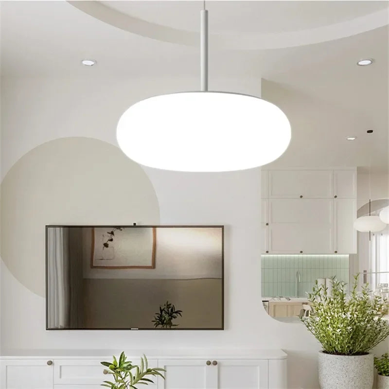 Nordic designer pendant light for elegant indoor lighting
