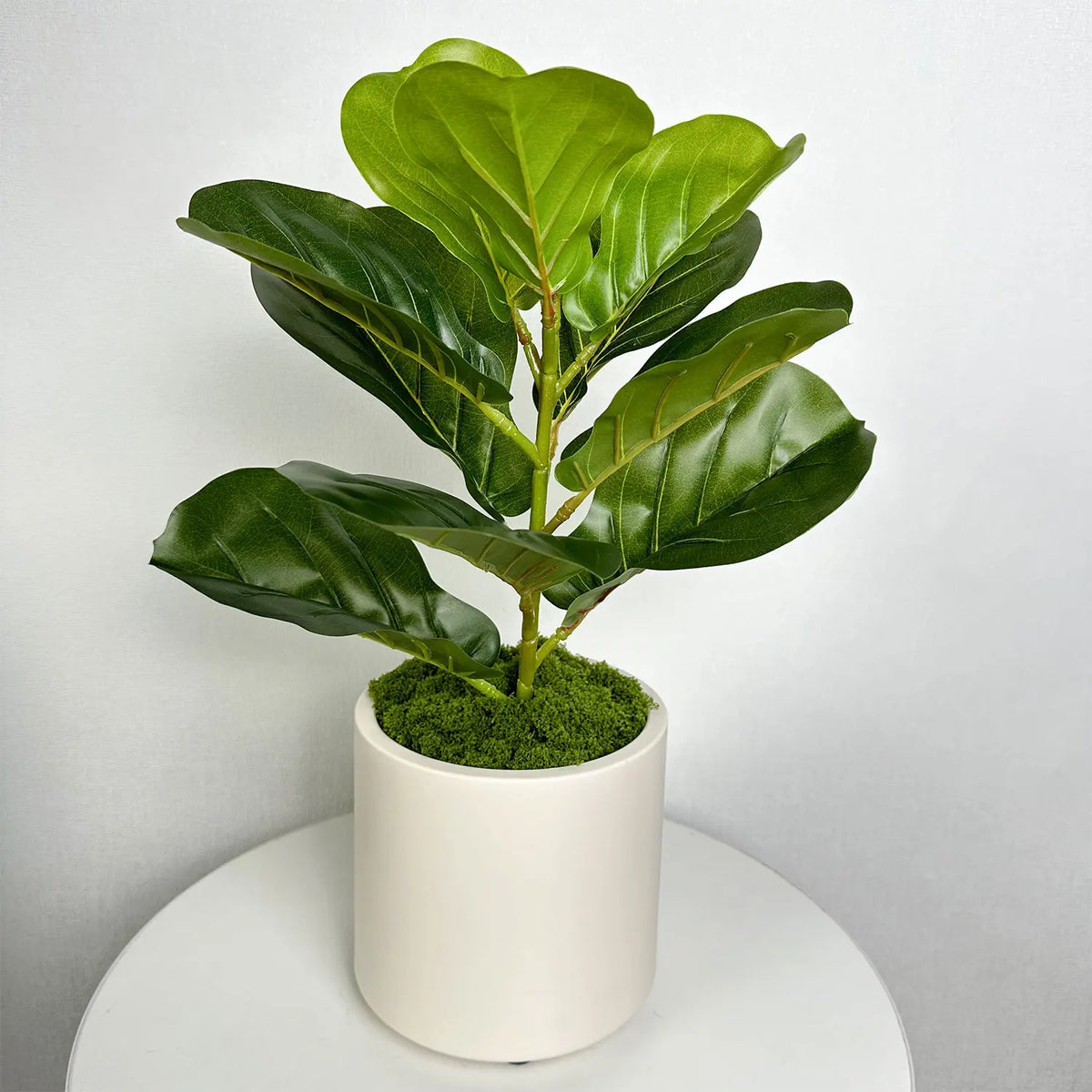 plastic flower pot for modern and elegant decoration - vue 5 sur 10