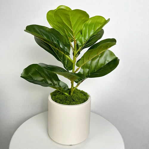 plastic flower pot for modern and elegant decoration - vue 5 sur 10