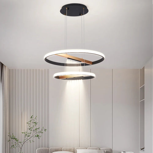 Modern round ring chandelier for indoor lighting - vue 3 sur 11