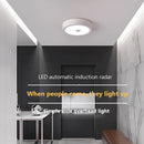 Modern LED ceiling light for home and hotel decor