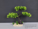 Artificial bonsai plant in plastic for interior decoration