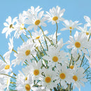 5 white daisy heads artificial flowers for festive decorations