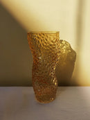 Nordic transparent glass vase for elegant floral decorations