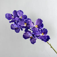 Set of 2 artificial vanda orchids for indoor decoration