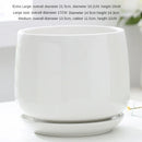 creative ceramic flower pot for indoor and outdoor decoration