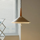 Nordic LED ring pendant light, modern decorative indoor