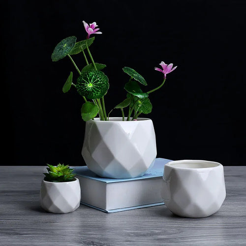 geometric ceramic flower pot for succulents - vue 3 sur 7