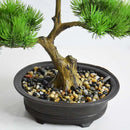 Chinese-style potted plant for indoor decoration