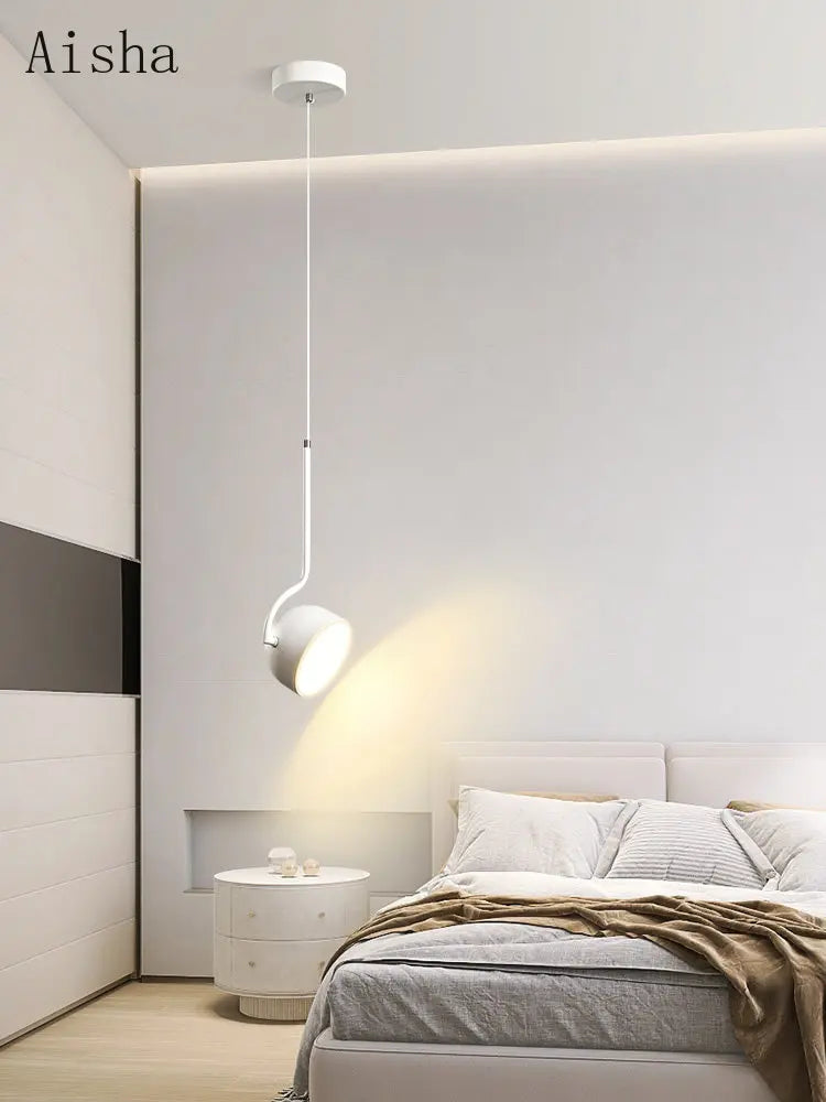 Modern decorative pendant light for a stylish and elegant interior