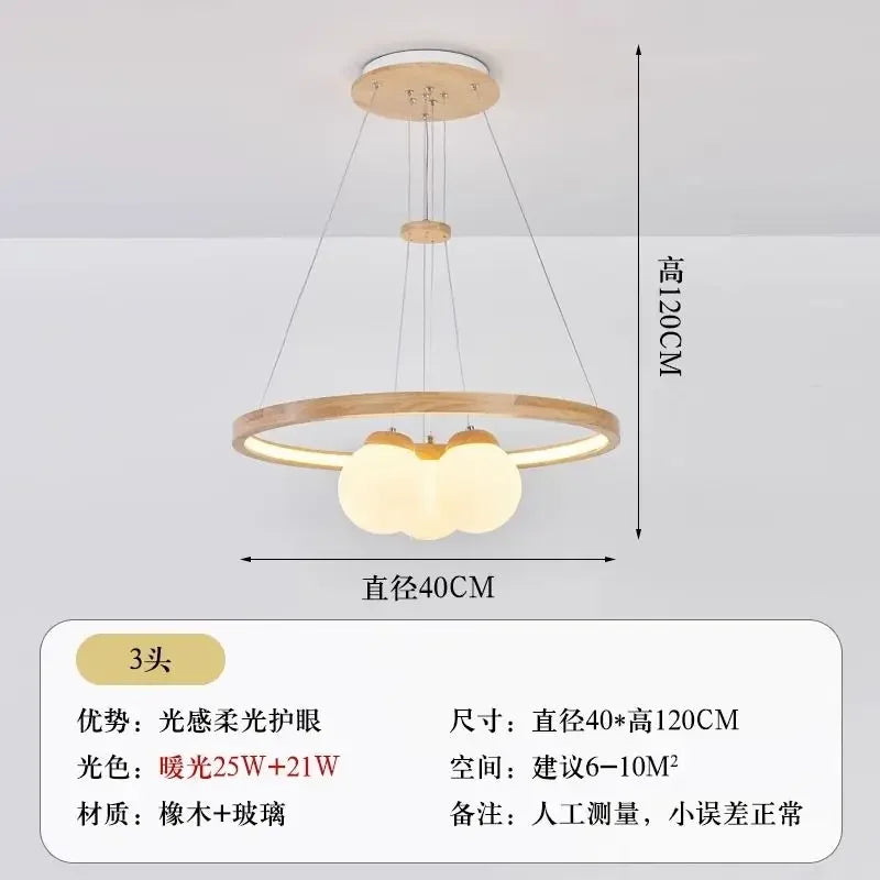 Modern glass globe LED pendant ceiling light