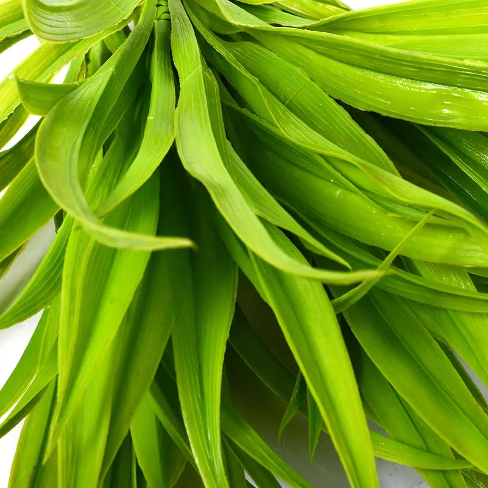 Artificial chlorophytum plants for indoor and outdoor decoration - vue 3 sur 7