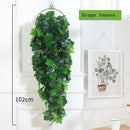 Decorative hanging plants for garden and weddings