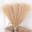 Set of artificial pampas grass bouquets for indoor decoration