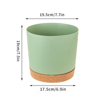 Large circular plastic indoor plant pot with drainage and tray