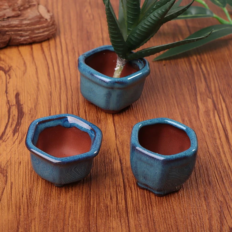 mini ceramic bonsai pots for succulents handmade