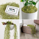 Artificial climbing rattan plants for indoor and outdoor decoration