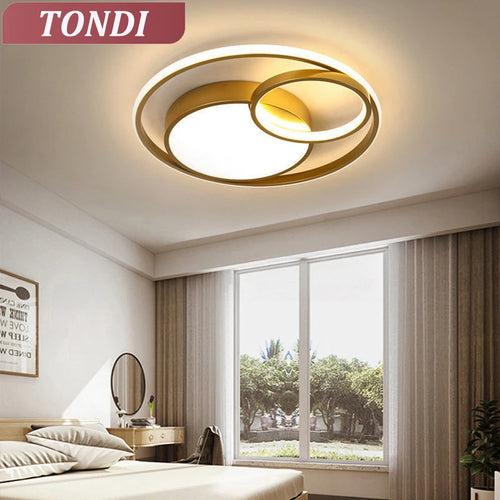 Modern LED ceiling light for living room, bedroom, dining room, dimmable indoor decorative lighting - vue 2 sur 12
