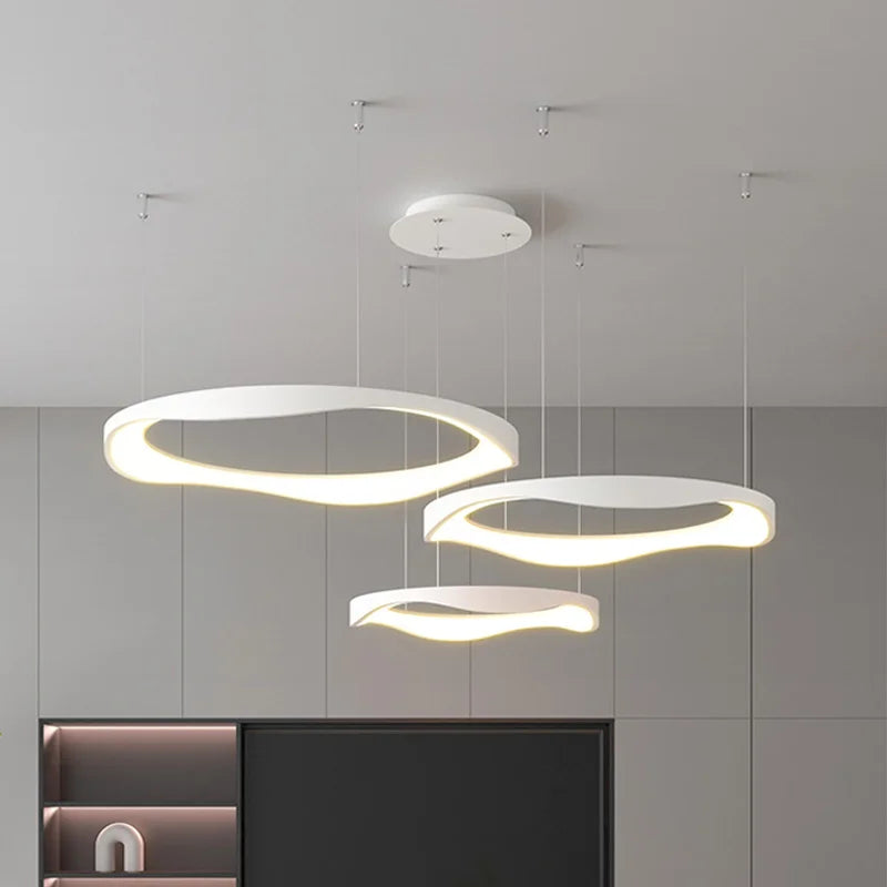 Modern designer pendant light for elegant indoor lighting - vue 4 sur 13