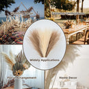 Set of artificial pampas for wedding and party decoration